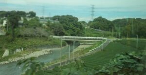 お茶畑と菊川（静岡県）