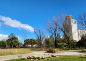 駿府城公園(静岡県静岡市)