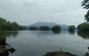 「新日本三景」ともいわれる、まるで松島のように美しい大沼公園。バックに見えるのが北海道駒ヶ岳(渡島富士)。