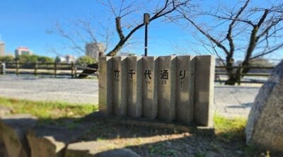 岡崎城・竹千代通り（愛知県岡崎市）