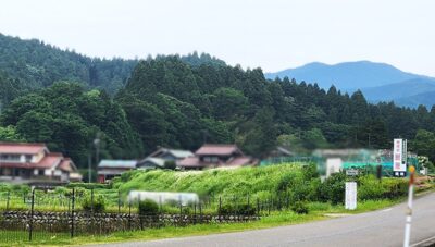 根尾谷断層。中央のちょっと盛り上がった段差が、濃尾地震で出来たもの。（岐阜県本巣市）