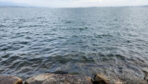 琵琶湖の景色(滋賀県大津市)
