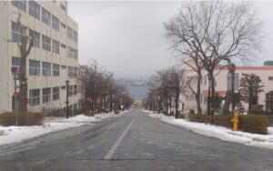 八幡坂(北海道函館市)
