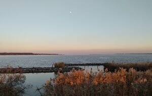 霞ヶ浦（茨城県土浦市）