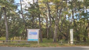 虹の松原(佐賀県唐津市)