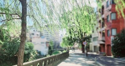寺町通り近く・中島川の景色(長崎県長崎市)