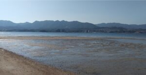 宮島の海岸(向こう側は本州)。毛利元就の策略によって、陶晴賢の軍はおびき寄せられ壊滅した(広島県廿日市市)