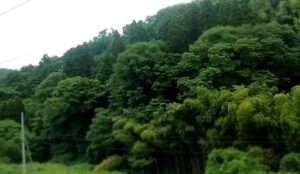 倶利伽羅峠を越える（あいの風とやま鉄道線の車窓より）（富山県・石川県）