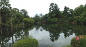 兼六園の景色（石川県金沢市）