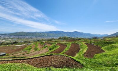 夜になると「田んぼごと」に月を写し出す、姨捨の棚田（長野県千曲市）