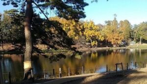 大宮公園（埼玉県さいたま市大宮区）