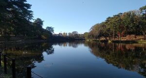 大宮公園（埼玉県さいたま市大宮区）