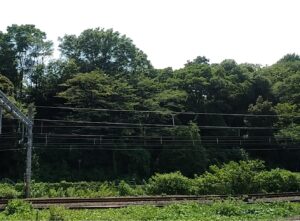王子駅から見渡す飛鳥山（東京都北区）