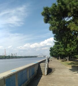 右側が浜寺公園の松原、左側中央が「浜寺水道」、左奥が埋め立て地の工業地帯(大阪府高石市、堺市)