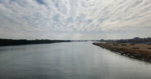 相模川(馬入川)(神奈川県)
