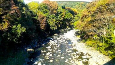 桂川（富士急行線の車窓より）（山梨県）