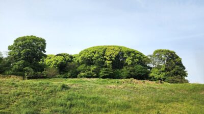 小牧山城跡より(愛知県小牧市)