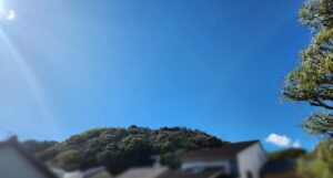 興津宿公園(静岡県静岡市清水区)より