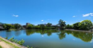 猿沢池(奈良県奈良市)