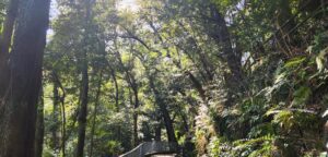 奥湯河原の景色(神奈川県・湯河原町)