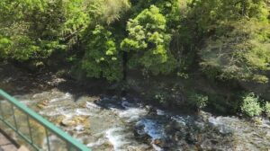 第六水窪川橋梁を渡る。一旦川を渡ったのに、再び元の位置(写真奥・東側)に戻るところ。(飯田線の車窓より)(静岡県)
