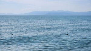 長浜からの琵琶湖(滋賀県長浜市)