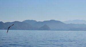 淡島（真ん中の、おにぎりのような形の島）