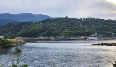 かつてスカンジナビア号（旧ステラ・ポラリス号）が停泊していた、沼津・西浦の海（静岡県沼津市）