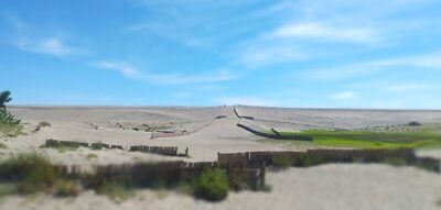 中田島砂丘（静岡県浜松市）