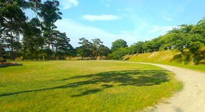函館・五稜郭より(北海道函館市)