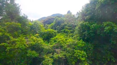 敦賀～近江塩津～余呉の区間を過ぎ行く