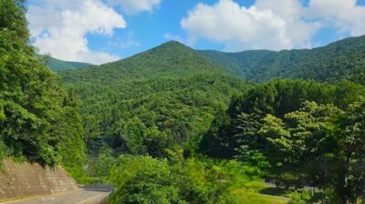 だんだんと険しい木曽の谷に入ってゆく（中央西線）（長野県）