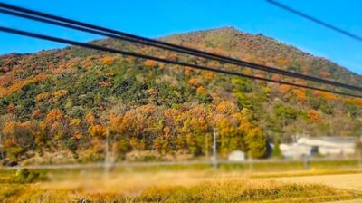 赤穂線のおだやかな景色