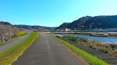 伊豆・大仁の、狩野川(かのがわ)付近の景色(静岡県伊豆の国市)