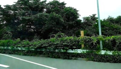 碓氷峠・バスからの車窓（群馬県～長野県）