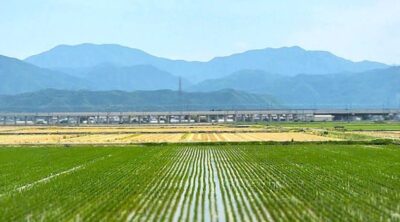 北陸新幹線を左に、福井へと広大な平野を南下(ハピラインふくい線)(福井県)