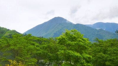 高く険しい山々の間を進む身延線(山梨県・静岡県)