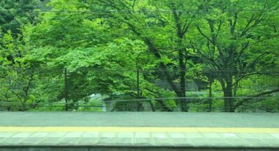 玉野峡谷・古虎渓の景色（愛知県・岐阜県）