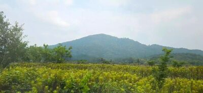 桜井線・天理→桜井:三輪山(奈良県桜井市)