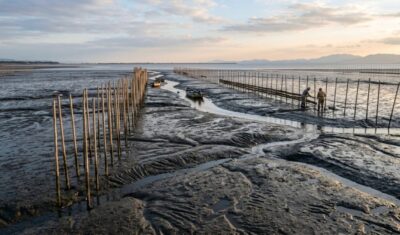 有明海の干潟（画像はあくまでAIによるイメージです）【島原半島関連】