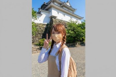 和歌山城より(画像はレタッチ加工をAIで施している部分があります)